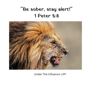 Be Sober, Stay Alert! – Under The Influence